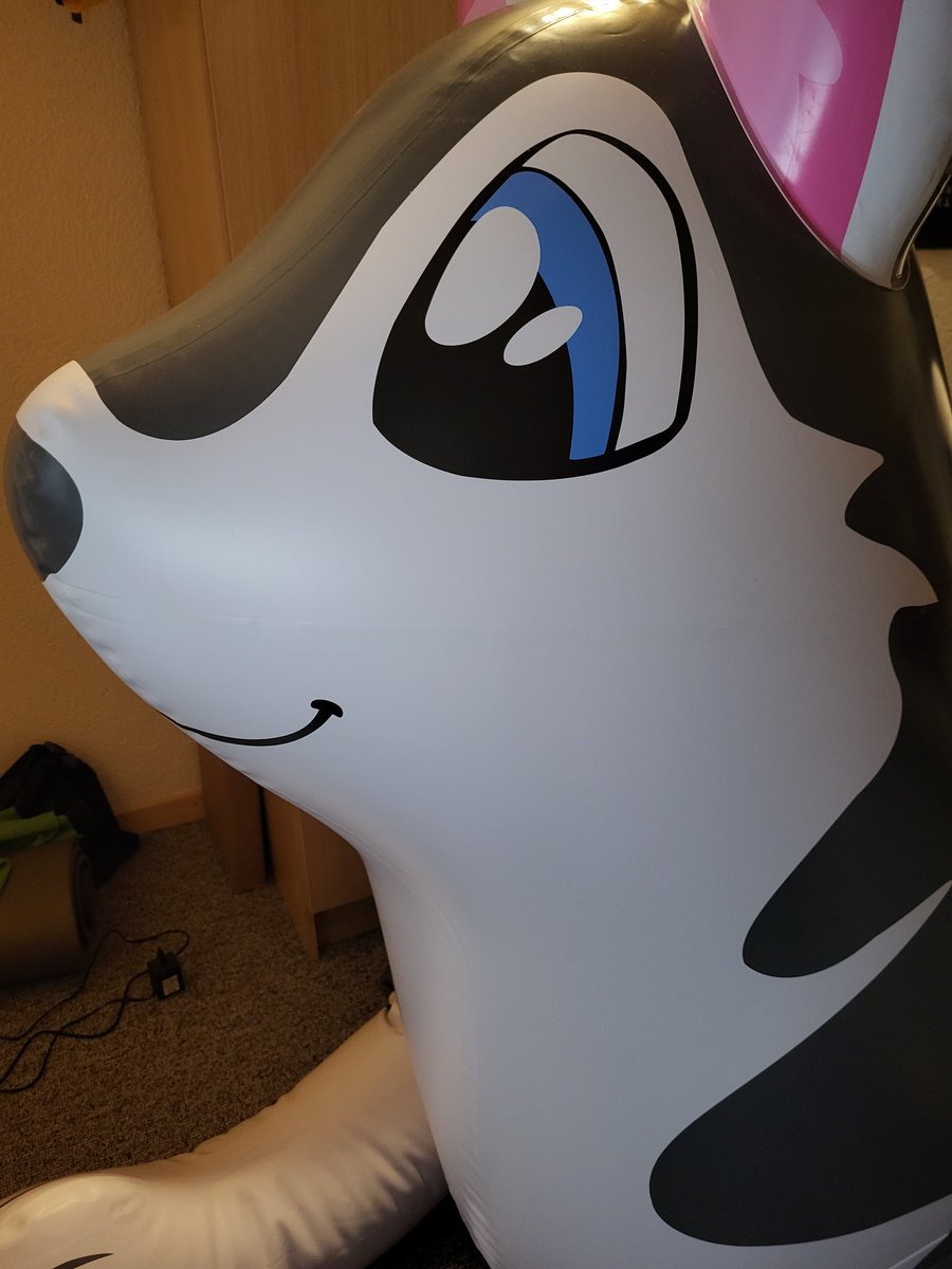A Fya is always cute. Because of space issues it must be almost empty. And replaced by the re puffed husky. #inflatable #inflatableworld #inflatabledragon #fyaryuu #inflatablehusky