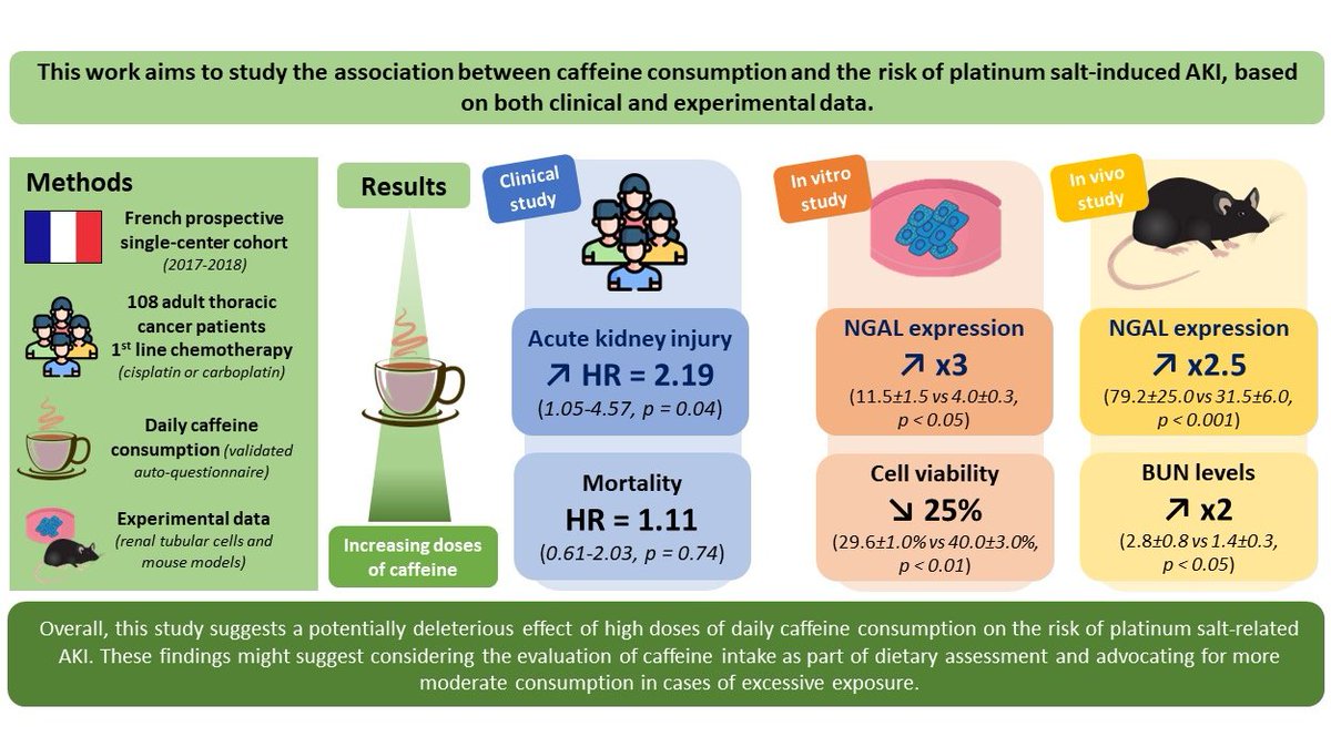 What if excessive #coffee consumption exacerbated the risk of platinum-salt-related #AKI? That's what might be suggested by our #translational study published in @Nutrients_MDPI : a prospective cohort, in vitro data, and murine models... all in one😎🙌 mdpi.com/2719662