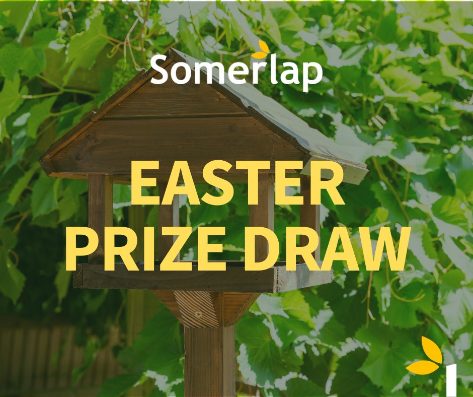 The Somerlap Team tweet media