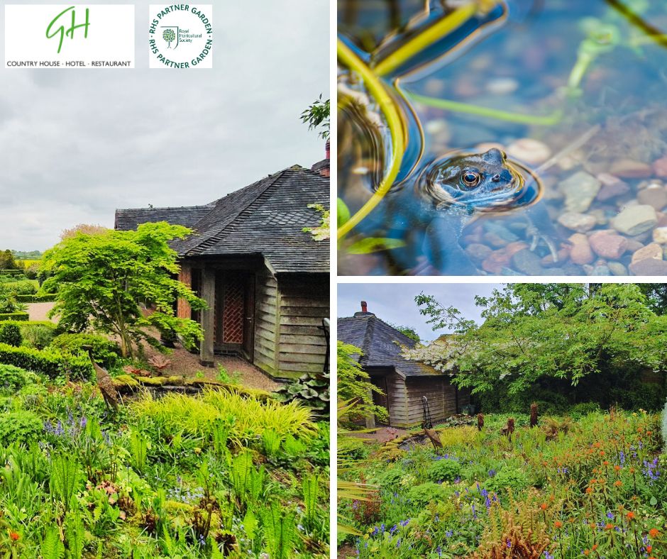 In celebration of World Frog Day, we have pleasure sharing an article written by the Daily Mail's Inspector back in 2021, featuring our charming frogs. 🐸🐸

Enjoy here🗞️➡️ow.ly/zhk150QXqN7 
.
.
.
#Gardens #Widlife #WorldFrogDay