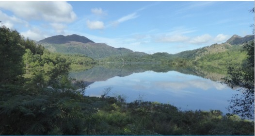 New @UK_CEH @JamesHuttonInst report for @CREW_waters outlines urgent actions needed to protect Scotland’s lochs from impacts of #climatechange, estimating harmful algal blooms cost the national economy £16.5m+ a year. ceh.ac.uk/press/protecti… Photo: Loch Achray by Linda May.