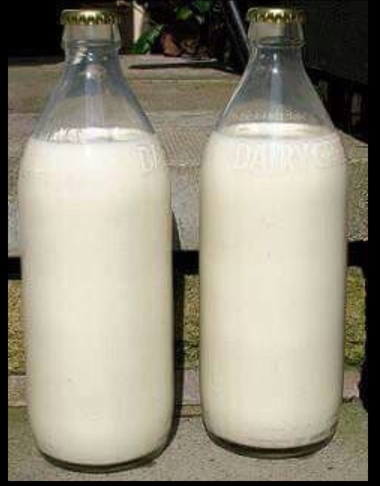 I❤️Nostalgia '𝕏' tweet media