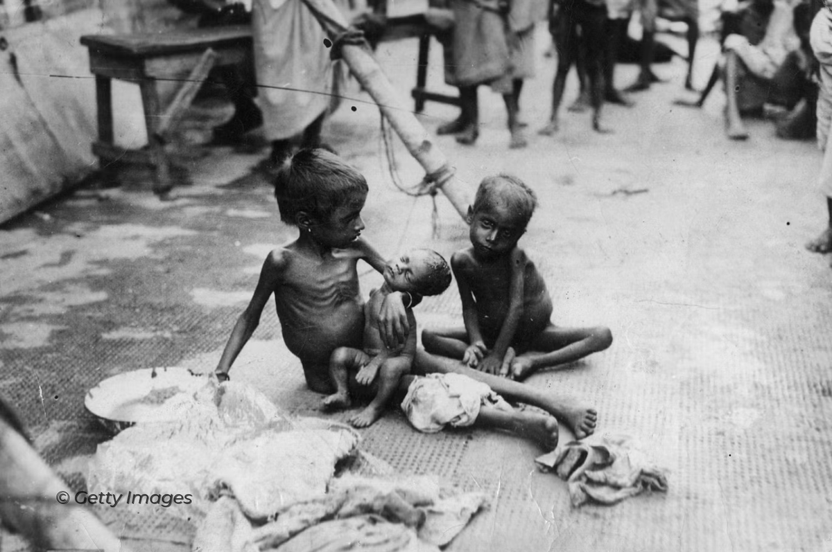 МИД России 🇷🇺 tweet media