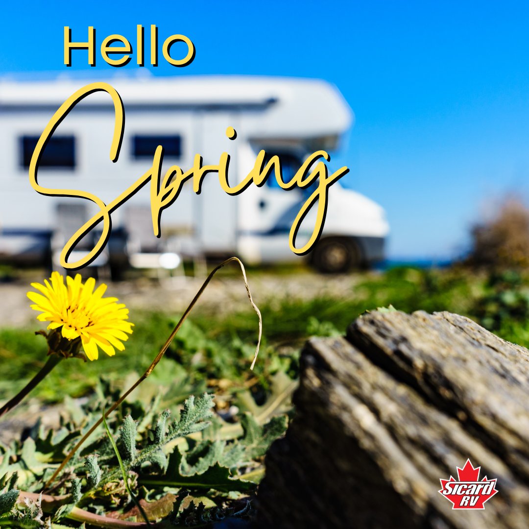 Hello, Spring! 🌼☀️