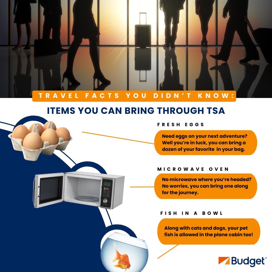 Bet you didn’t know these TSA travel facts! Here are a few items you didn’t know you could bring on your upcoming flight! Did you ever have a need for any of these items on your previous or upcoming flights? #WeKnowTheRoad #BudgetCarRental #TSATrivia #TravelFacts