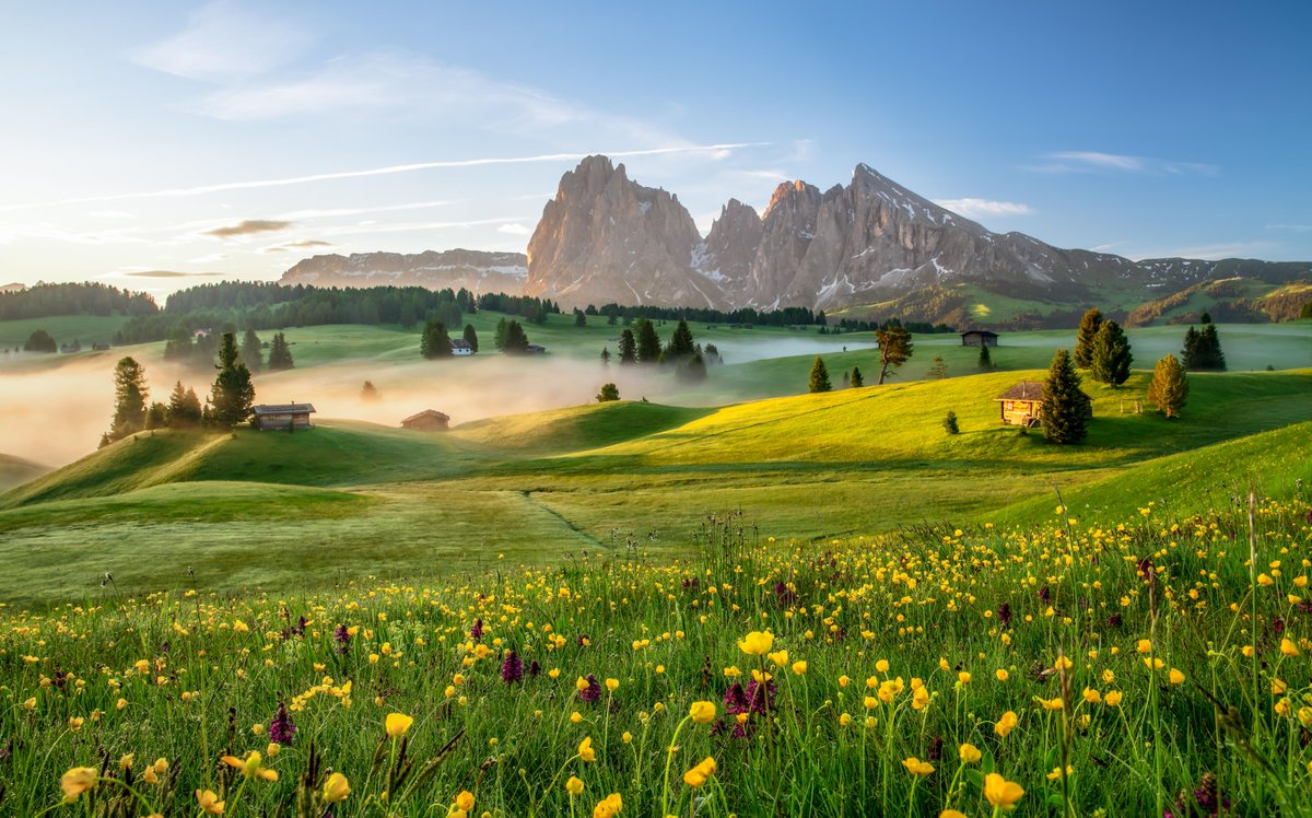 Italy is set to bloom - today marks the first day of spring. 🌺Enjoy a leisurely walk through parks and public gardens as you witness nature coming to life. #ilikeitaly #travelinitaly #YourItalianPOV #springinitaly