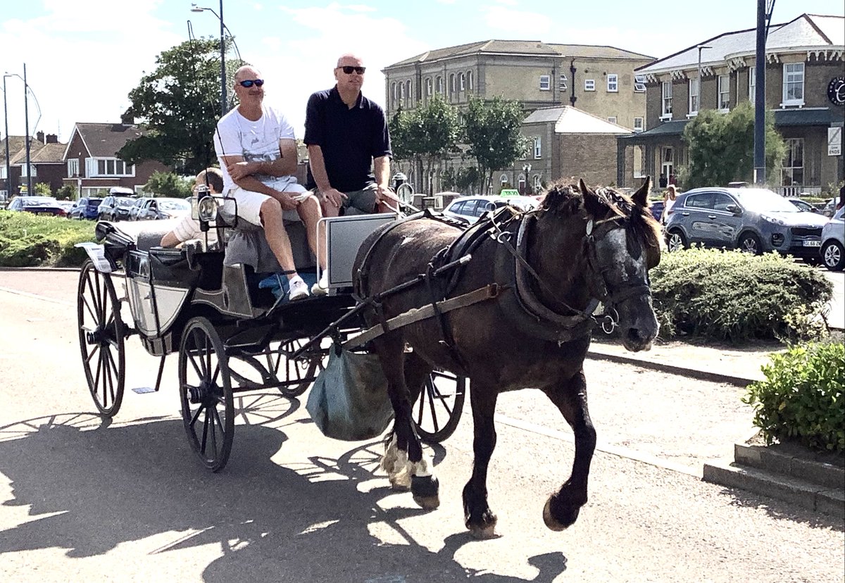 BureCottage tweet media