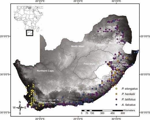 ♻️ Projecting Podocarpaceae response to climate change: we are not out of the woods yet by Thando Twala and co-authors. Full #openaccess 👉 bit.ly/3XlNBbS #PlantScience