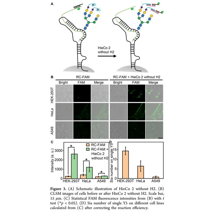 Marcin Czerwinski tweet media