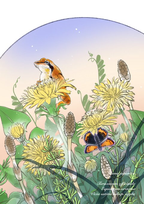 「カエルの日」 illustration images(Latest))