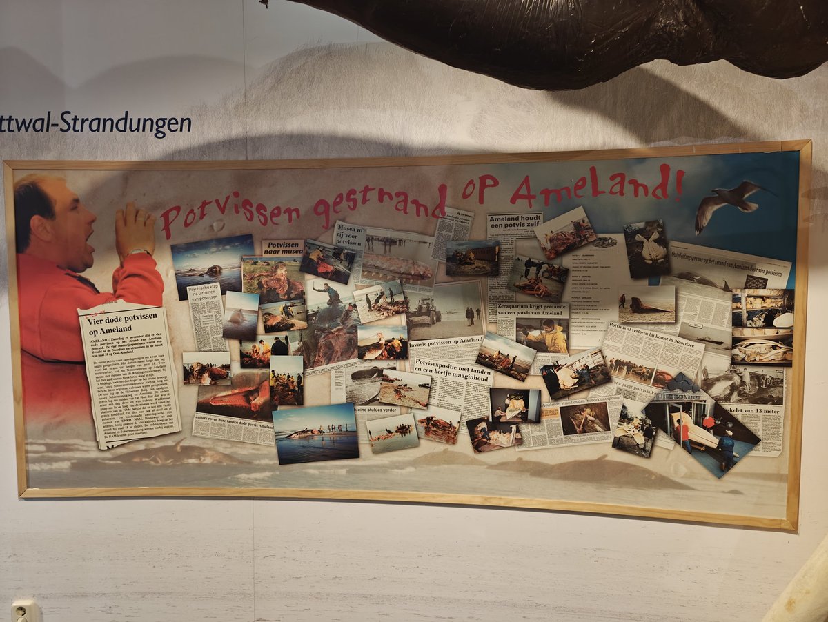 Uitwaaien op Ameland.