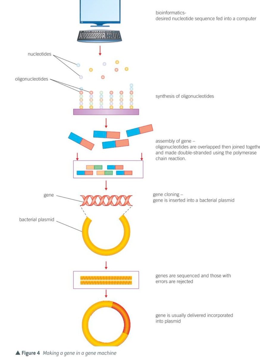 MrHBio tweet media