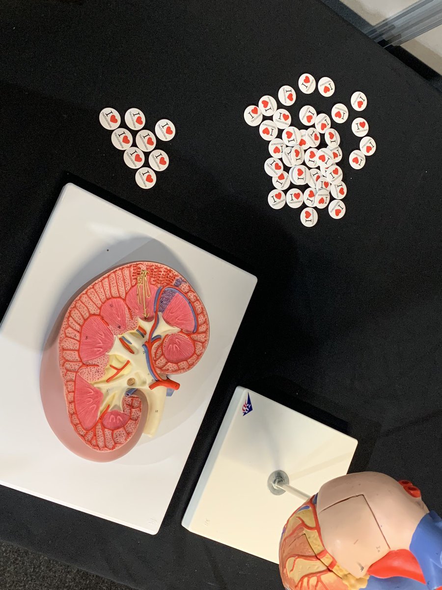 SHUTechnical tweet media