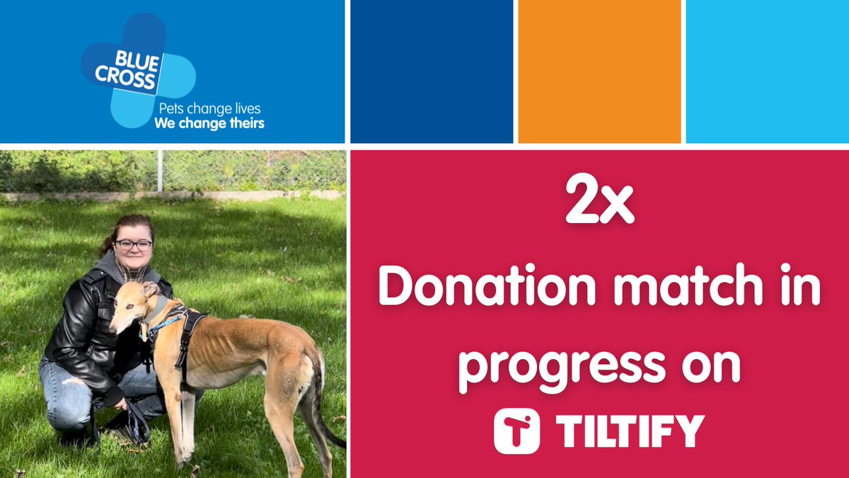 For the next 6 hours, up to £500 of donations to <a href="/The_Blue_Cross/">Blue Cross UK</a> will be doubled thanks to a generous donation match on <a href="/tiltify/">Tiltify</a>! 

Visit <a href="/Hozzerino/">Hozzerino 🎨 BLUESKY ONLY</a>'s #1897Challenge campaign here to donate and help us to change the lives of pets just like Lucian - tiltify.com/@hozzerino/189…