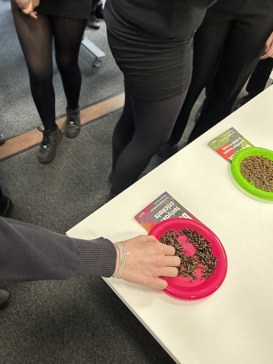 MissE_Bangwan's tweet image. A bit of Bugvita for breakfast in Psychology SNAC at @SwanseaUni 
Our Year 10 pupils on the SEREN trip were BRAVE enough to try it🐛🤩 Nothing like a Teriyaki flavoured crickets…mmmmm *shudders* @MaestegSchool @MrsWardPL #motivatedtostrive #SERENprogramme