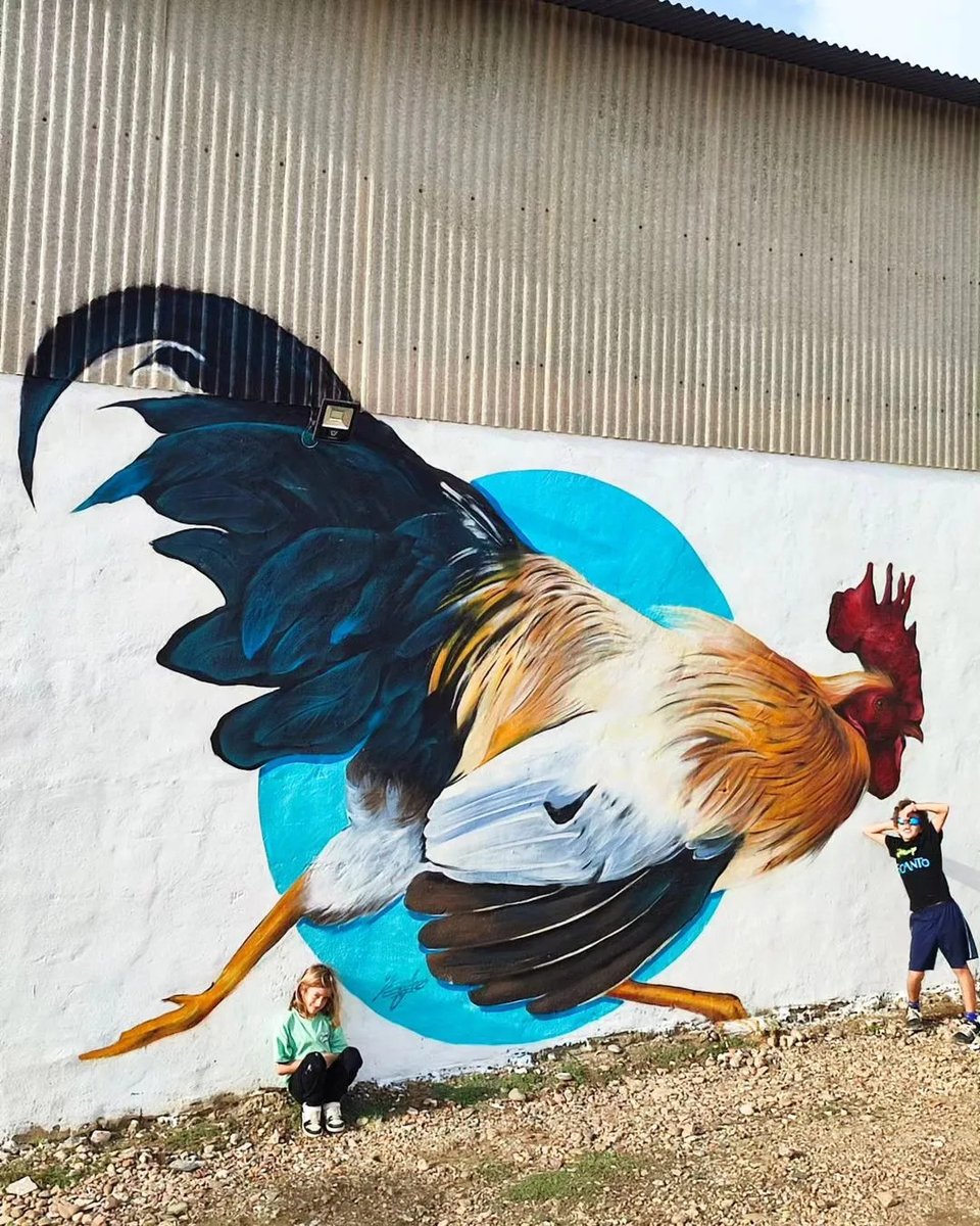 #Streetart by #SakeIeneka @ #PalmadelRío, Spain, for #VegaJamII
More pics at: barbarapicci.com/2024/03/20/str…
#streetartPalmadelRío #sakeink #streetartSpain #Spainstreetart #arteurbana #urbanart #murals #muralism #contemporaryart #artecontemporanea