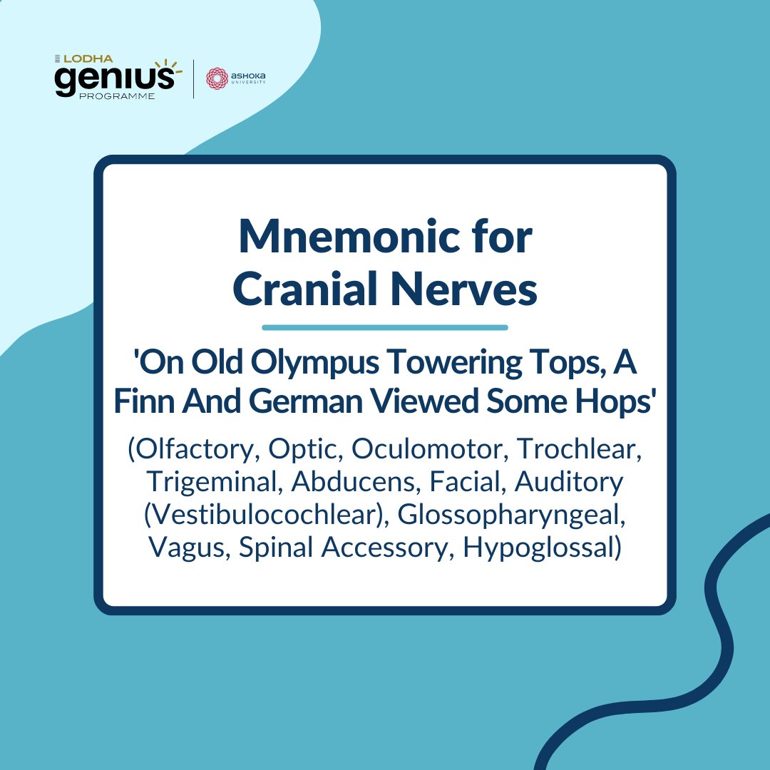 Master your exam prep with mnemonics! From biology classifications to math operations, Discover some classics and share your favorites.

@lodhagroup01 <a href="/AshokaUniv/">Ashoka University</a>

#ExamTips #Mnemonics #LodhaGeniusProgramme