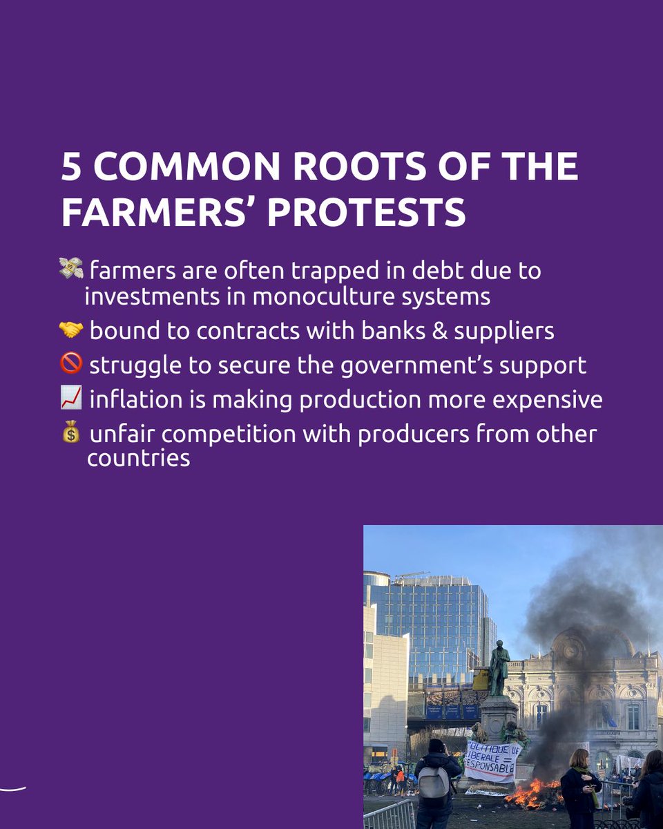 Farmers in Europe have been protesting for months & their concerns are valid. By reviewing the CAP & offering direct support to farmers, Europe can provide forward-thinking & humane solutions to help farmers AND build a healthier planet. Our statement🌾 buff.ly/3PqoIcv