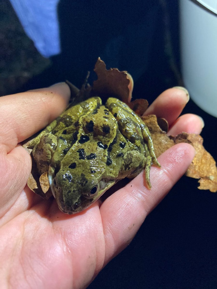 Notts ARG tweet media