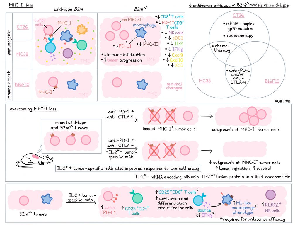 New insights into overcoming immune deserts in tumors  @tronmainz  @BioNTech_Group. Read our digest here 👉 bit.ly/43t3LDl