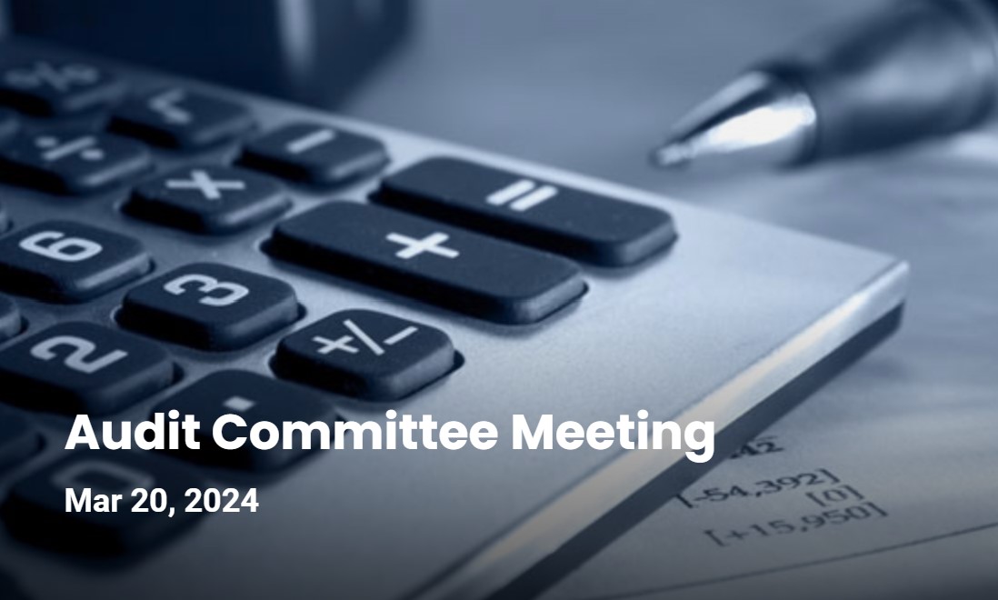The public is invited to watch the March 20 Audit Committee Meeting.

Find details at: calendar.ddsb.ca/calendars/Deta…
