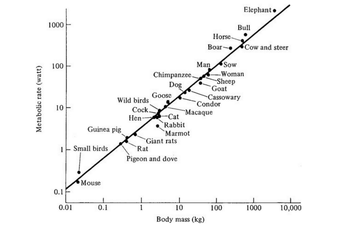 Julio Moreno tweet media