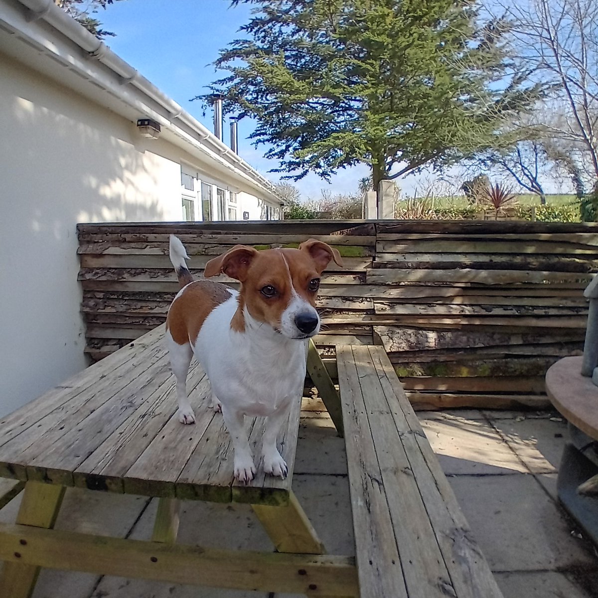 Lisa Gethen 💙 tweet media