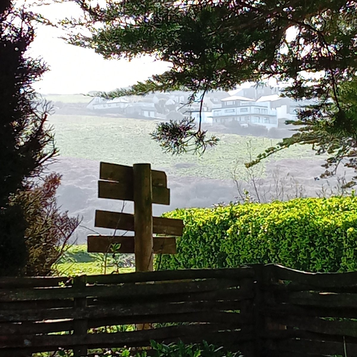 Lisa Gethen 💙 tweet media