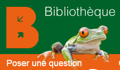 Dépôt légal web BnF tweet media
