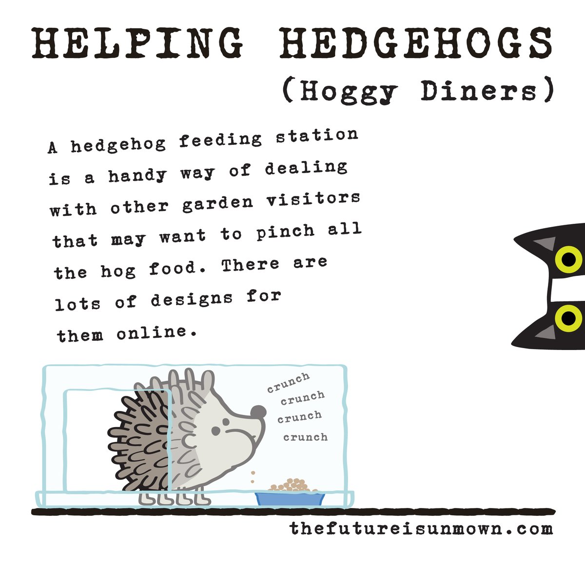 We now have four hungry #hedgehogs out of hibernation and hitting our all-you-can-eat #wildlife buffet every night 😁🦔💚

#HelpingHedghogs  #feedinghedgehogs #hedgehogdiner #hedgehogfeedingstation #wildlifegarden #nature #hedgehogrescue #hedgehoglove #thefutureisunmown