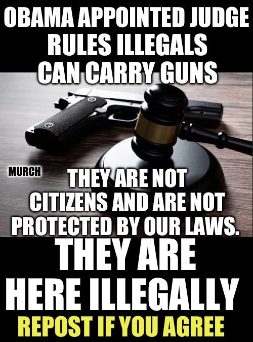 They are ILLEGAL! They have no rights here. Their rights are in THEIR country, not ours. Who agrees? 🙋‍♂️