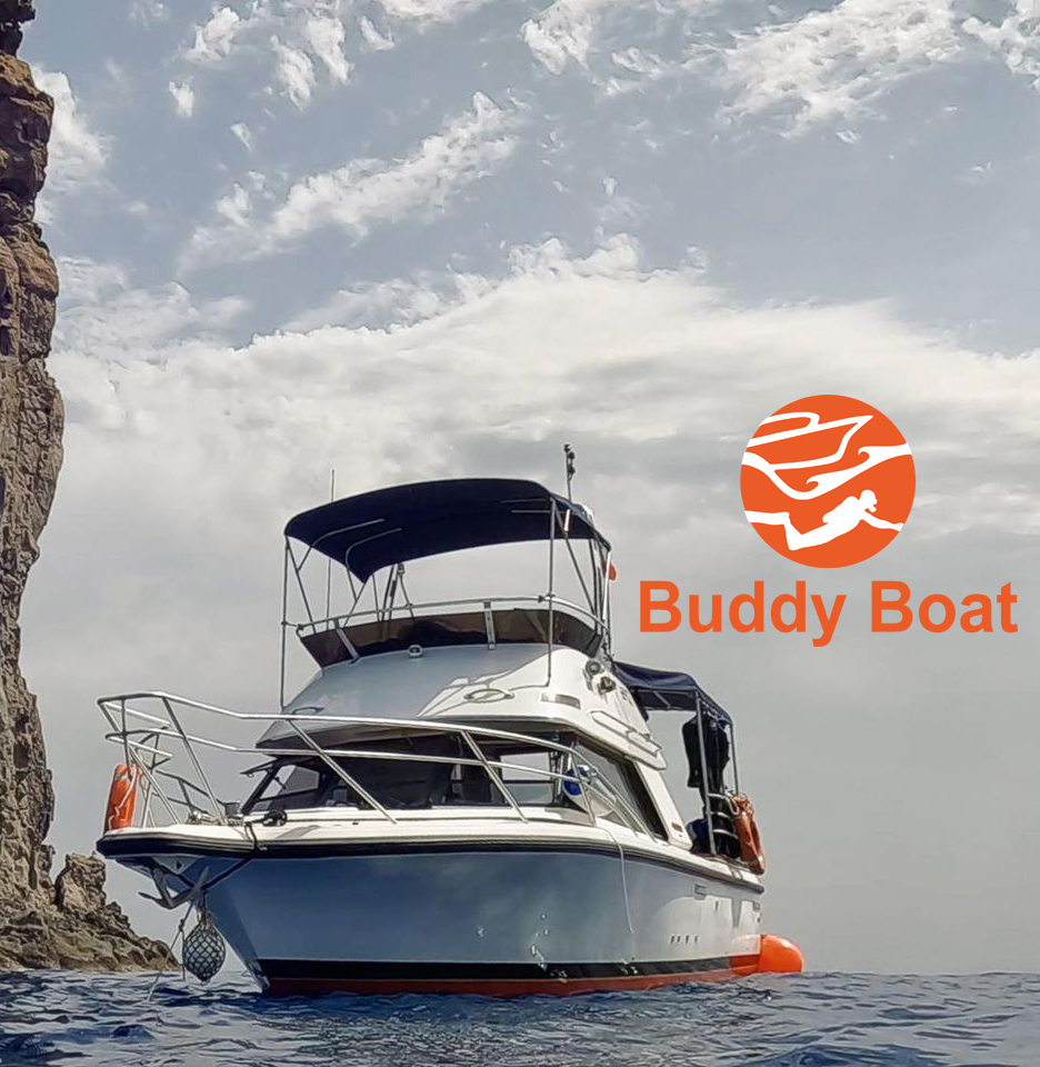 🎉Welcome Buddy Boat to TheScubaDirectory! 📍 Msida, Malta 👉thescubadirectory.com/diveshopprofil… #Malta #DivingMalta #ScubaDivingMag #PADI #paditv #scubadivelife #scubadive #scubadiving #divelife #scuba #dive #sealife #oceanlife #diving #divetrip #divetravel #scubatravel #scubatravellers