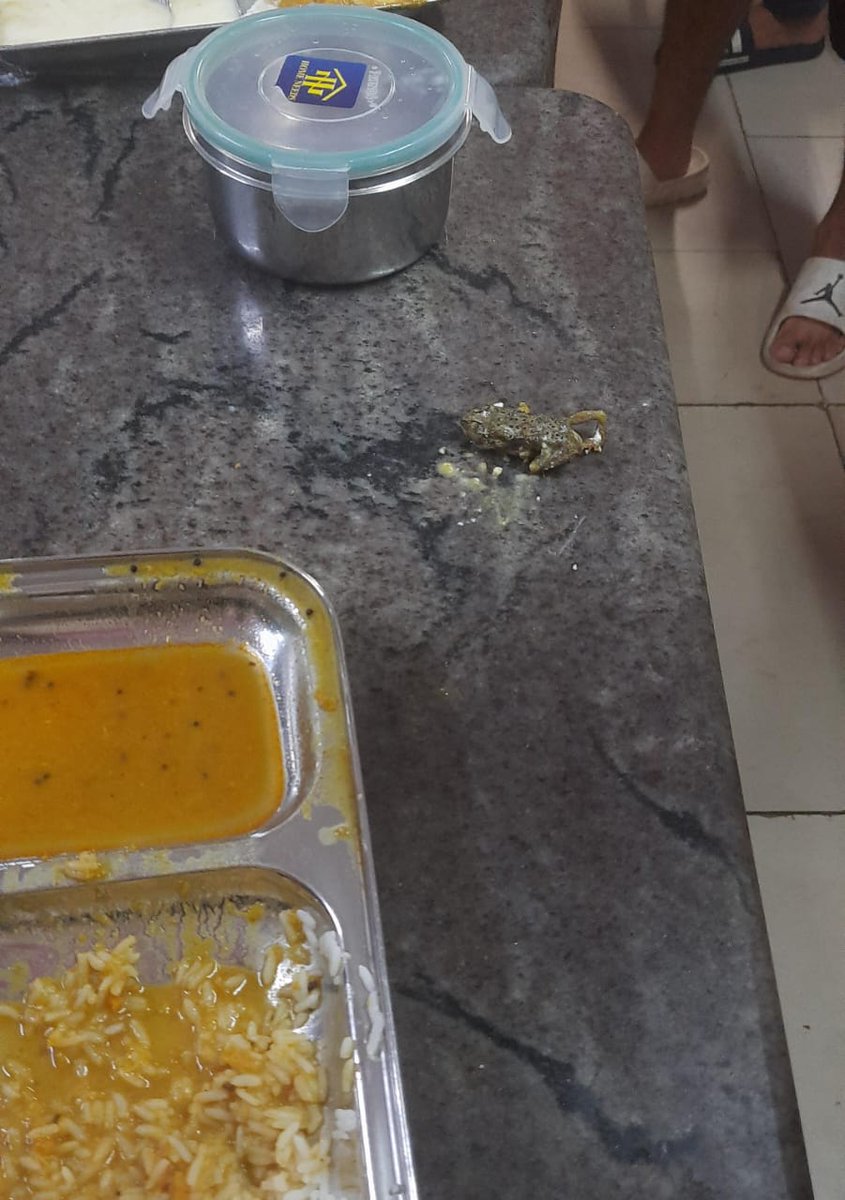 This is @ksombbsr where students are being forced not to disclose the Truth of this university where children are served food which has taken the life of a student, also they are serving such kind of food.
Parent's Kind attention @achyuta_samanta is preparing for GE -2024 due