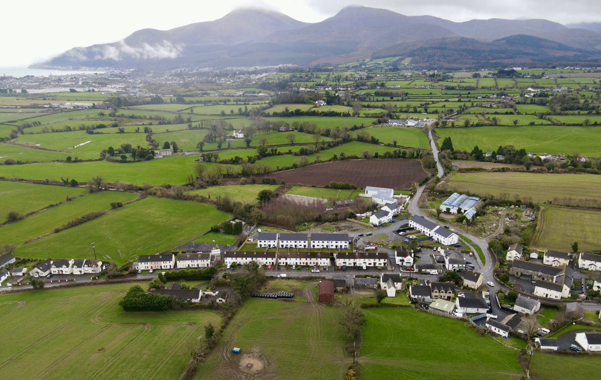 Shelleven House tweet media