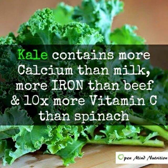 LadyVeganFuture's tweet photo. https://t.co/WB3HKPGD0L