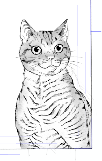 にゃー 