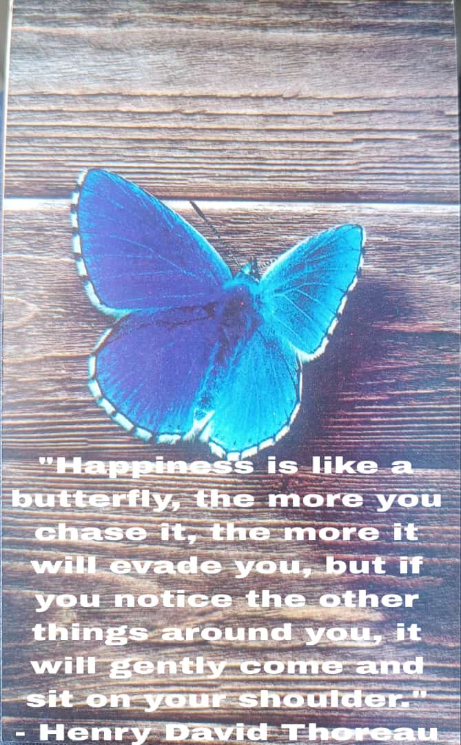 "Happiness is like a butterfly, the more you chase it, the more it will evade you, but if you notice the other things around you, it will gently come and sit on your shoulder."
            -Henry David Thoreau
विश्व प्रसन्नता दिवस-20मार्च
Pic Via Social Media