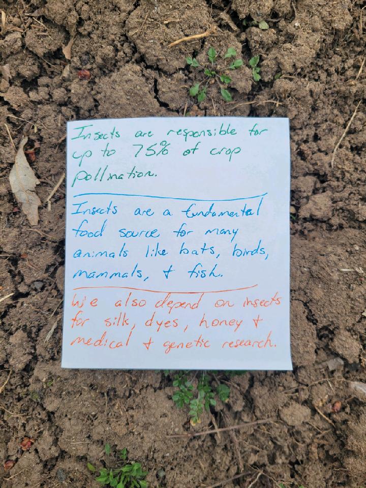 ComicsClimate's tweet image. Comic #165 #ComicsForClimate #insects #InsectExtinction #food #InsectsAreImportant #research #culture #climate #climatechange #comic