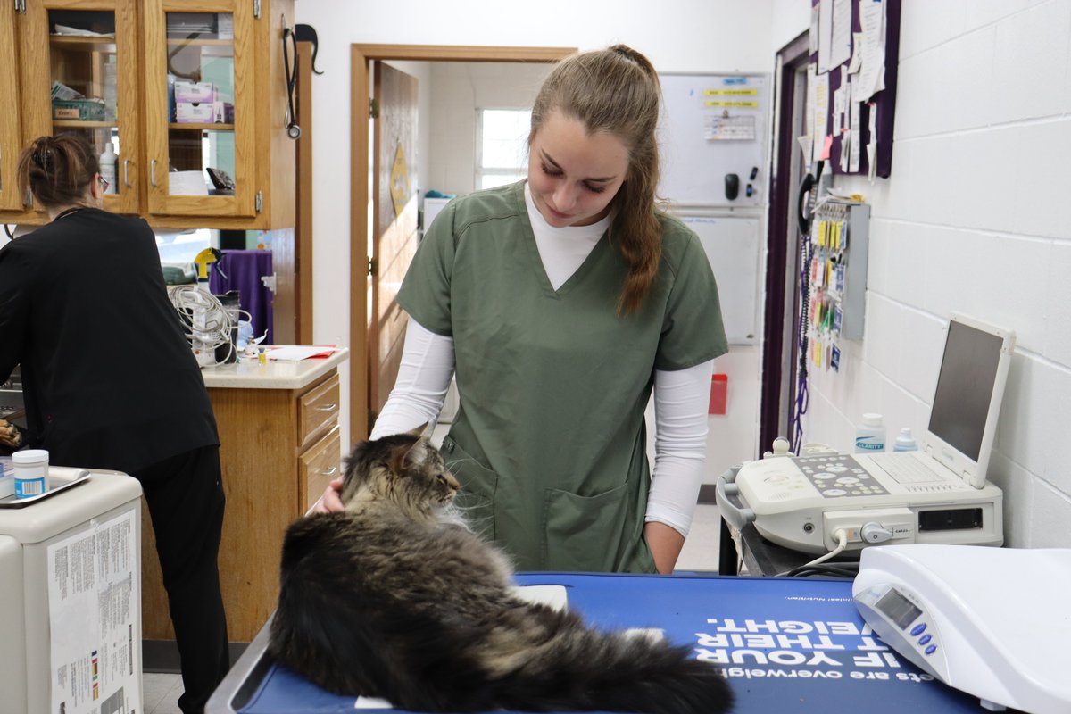 We visited BHS's Grace Aguirre at her <a href="/BeltonAcademies/">The Academies of Belton</a> internship. She is shadowing &amp; interning w/ the Belton Veterinary Center. #Proud2BPirates #BSDAchieves

Grace is in the Human Services Academy. She is getting a close-up view of what vet technicians &amp; vets do daily.