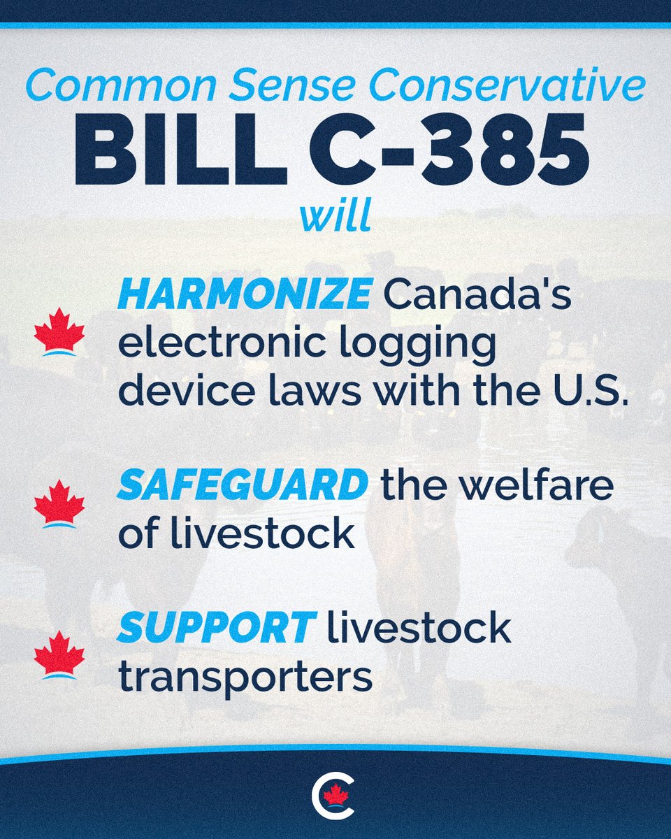 Martin Shields tweet media