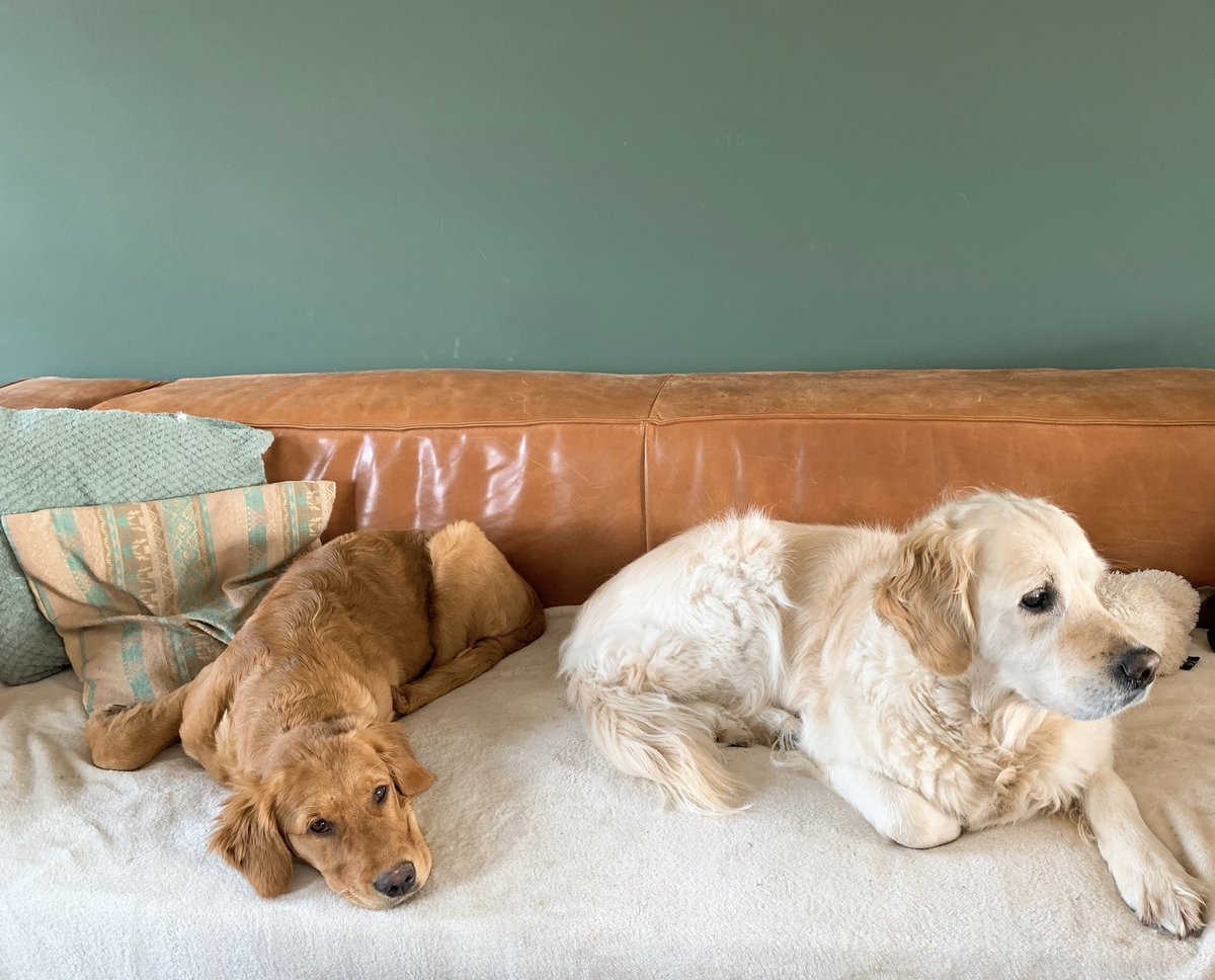 Ziek zijn in goed gezelschap ❤️