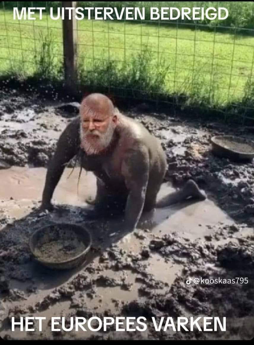 LucLujohuad's tweet photo. Frans Timmermans van GroenLinks/PvdA heeft zich verbaal en non verbaal weer uitgesproken misdragen vandaag in de Tweede Kamer, zeker richting PVV! Hij is bezeten, bitter, zuur en moet nodig naar een exorcist! Wat een afgang alweer! https://t.co/jGVsrbjoWl