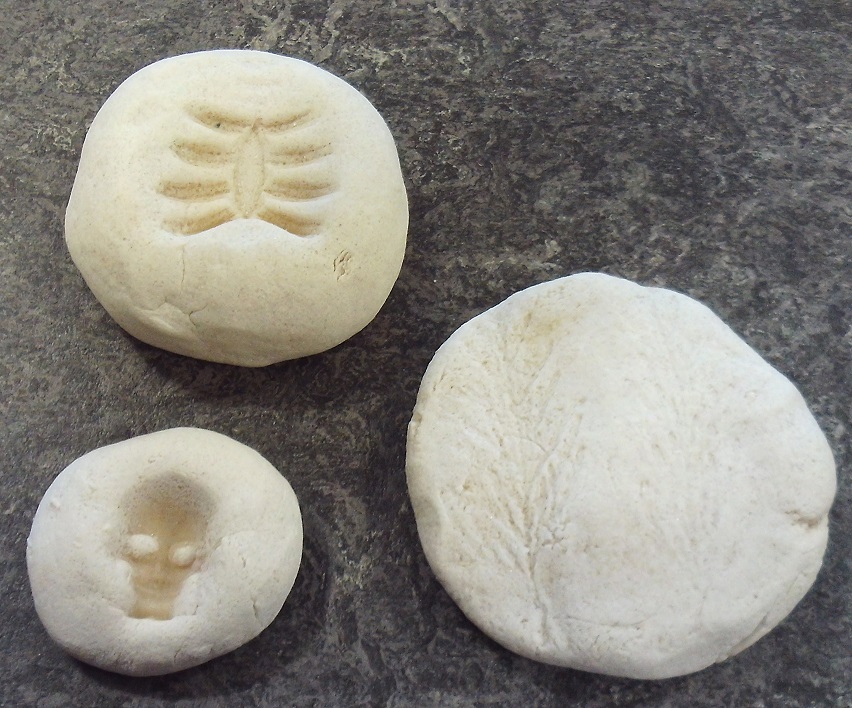 LancsLibraries's tweet image. #EcclestonLibrary had a science packed week including fossil making, volcanoes and gigantic bubbles, to name a few. Plus a great shadow puppet storytime!
#BSW24