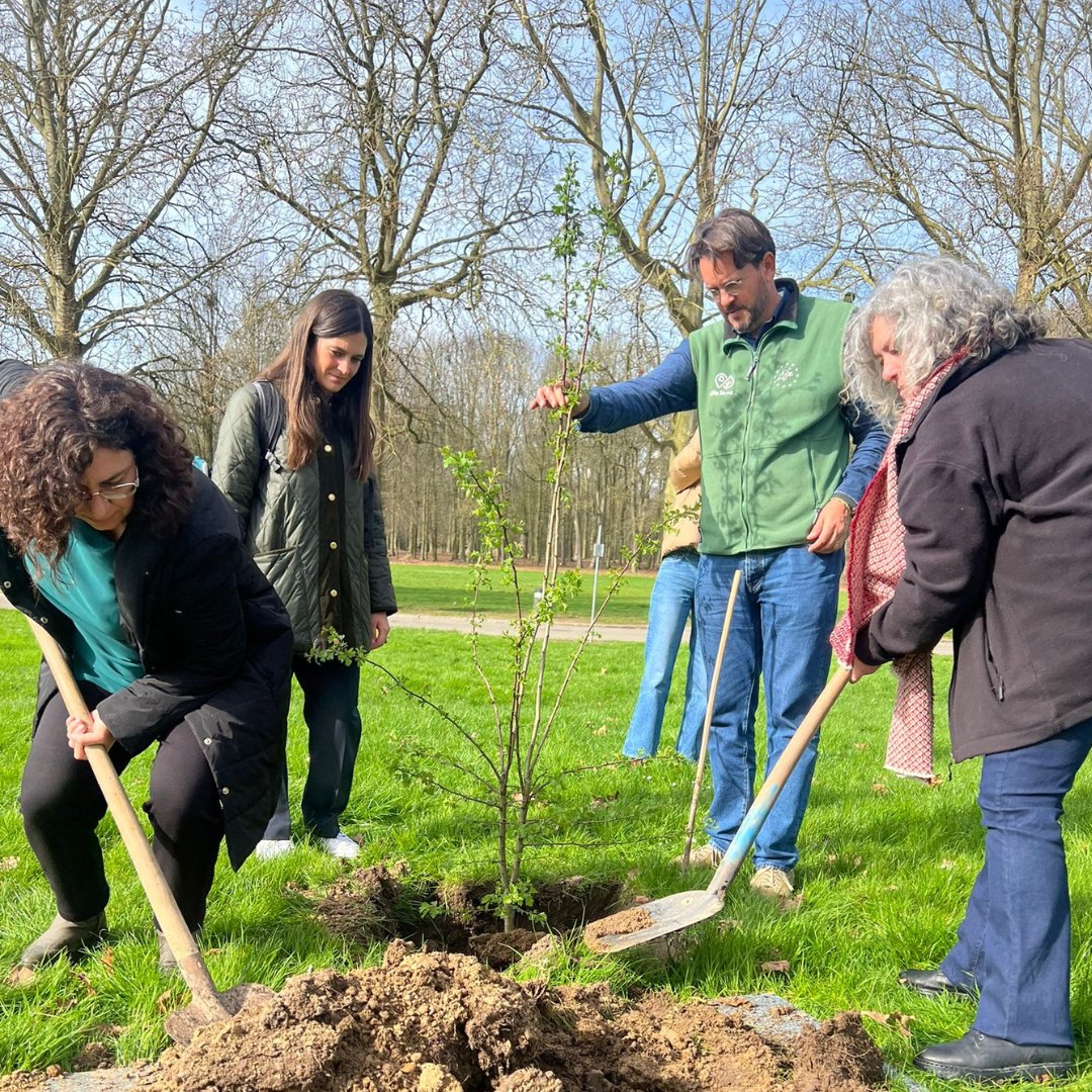 Small, individual contributions can kick-start large-scale changes #ForOurPlanet Ahead of #ForestDay, we met today with 🇪🇺 @florikafink, NGOs, local authorities & tree planting organizations to root for #3BillionTrees in Europe by 2030 Join our pledge 👉 europa.eu/!PvrVGK