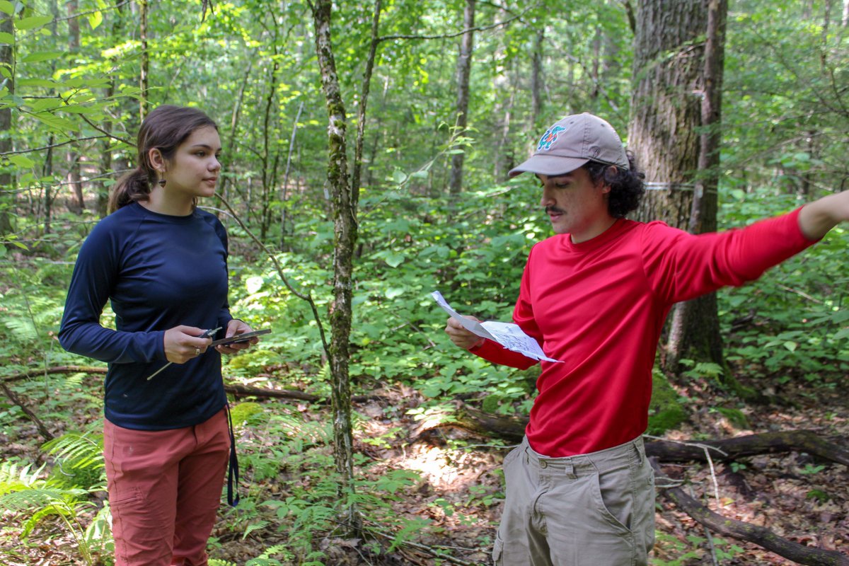 Do you know someone who *loves* trees &amp; wants to spend the summer working outside? 🌳+✏️+📒=😄 (+ 💵) Harvard Forest is seeking summer field technicians to re-census (measure, map, &amp; record) trees in our 85-acre megaplot! 🌱Applicants must enjoy trees. 🌲🌳harvardforest.fas.harvard.edu/employment