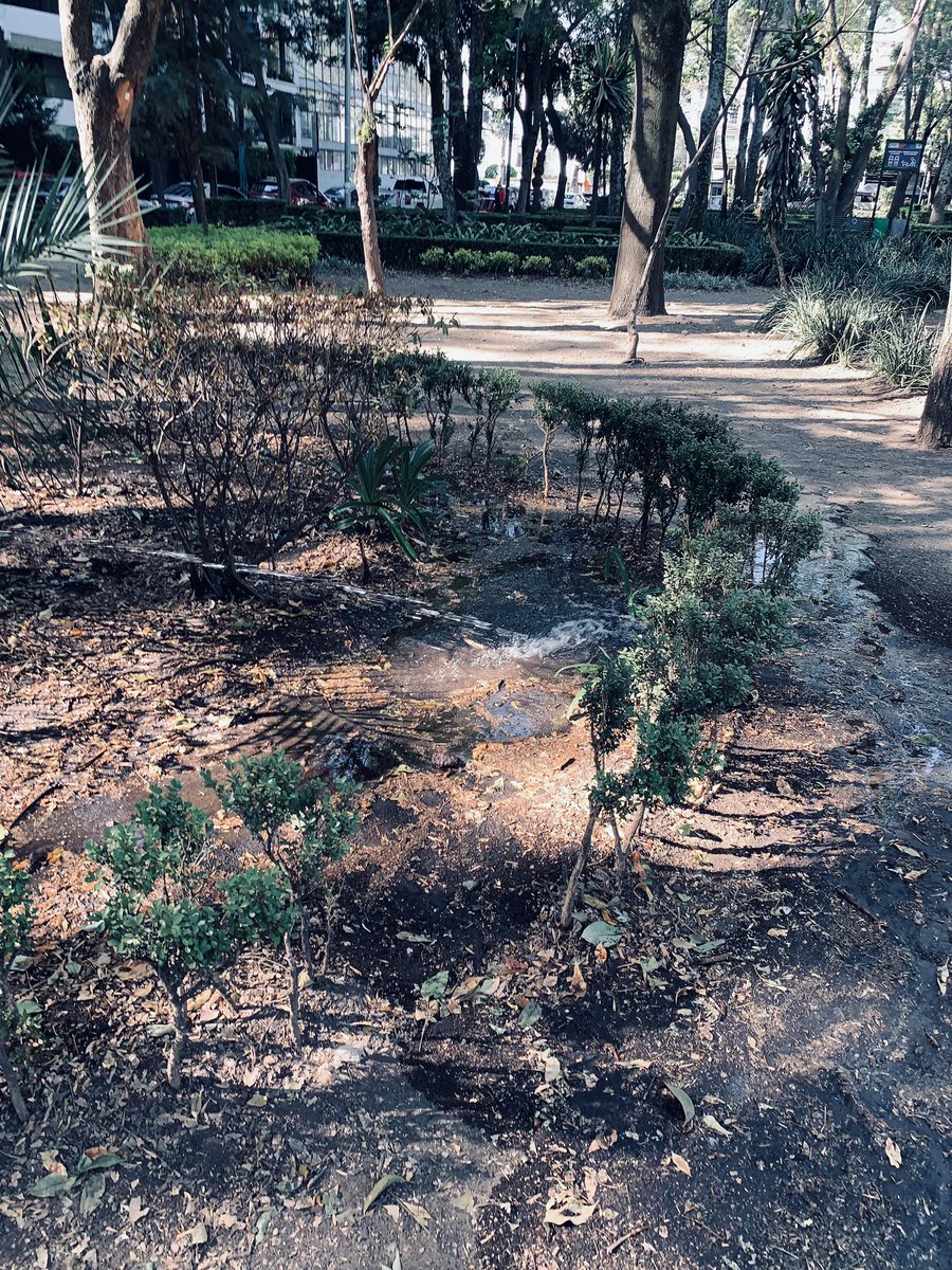 Se inundan partes del parque Acacias!!! Y otras completamente secas! Por favor poner mangueras más largas!! Es la solución! Parque Acacias del Valle