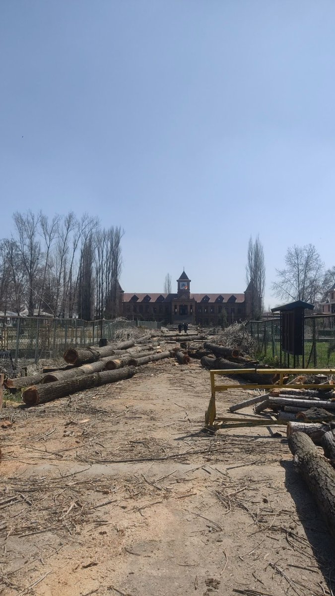 This is the kind of vandalism that Kashmir is witnessing in the name of development. A beautiful avenue of poplar trees at the entrance to Amar Singh College in Srinagar chopped down. A scene of manmade disaster. Shame on those who allowed it to happen