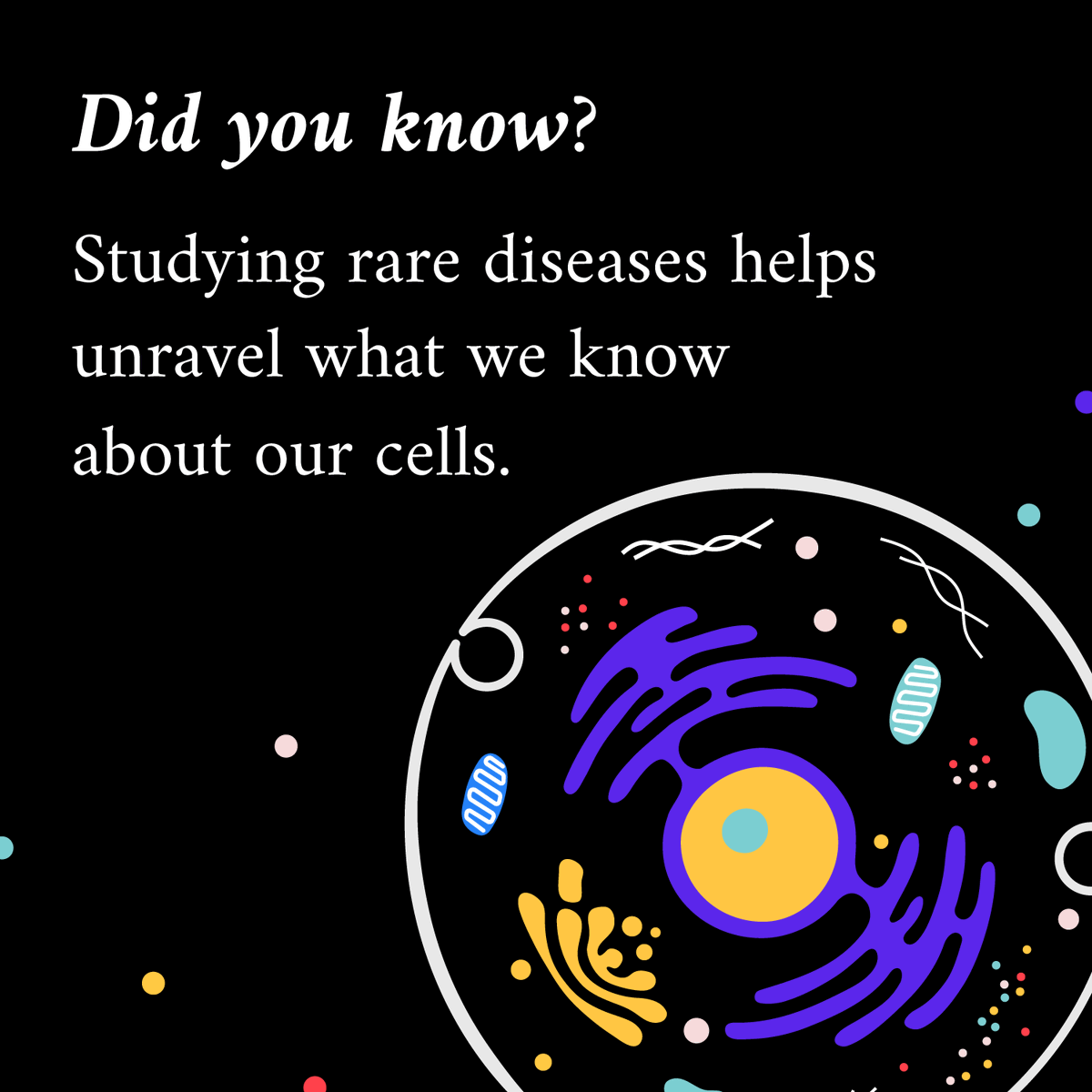 Studying #RareDisease gives us insight into the fundamental mechanisms of our genes + helps to unravel the mysteries of the cell