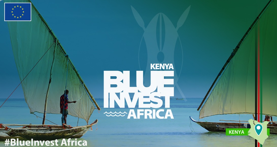 Kenya will host the Africa Blue Economy Investment Summit in July 2024.  

Read more: b2match.com/e/blue-invest-…

#BlueInvestAfrica2024 #BlueEconomyKE