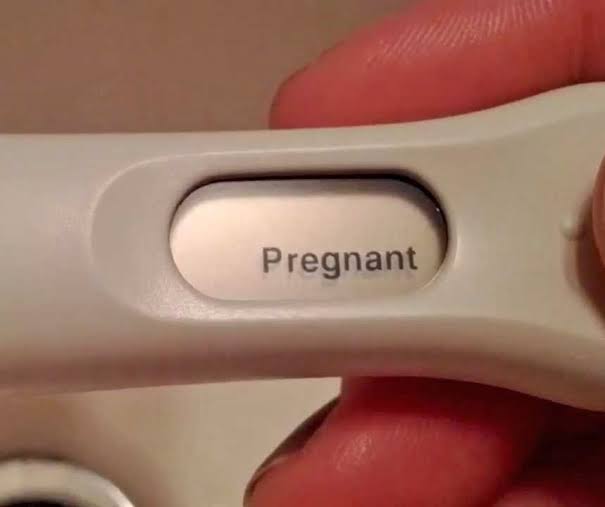 NO CONTEXT HUMANS tweet media